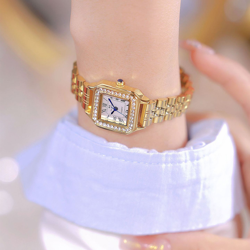 Kadın izle paslanmaz çelik kar - Cartier Watch Santos incelemesi ve fiyatı